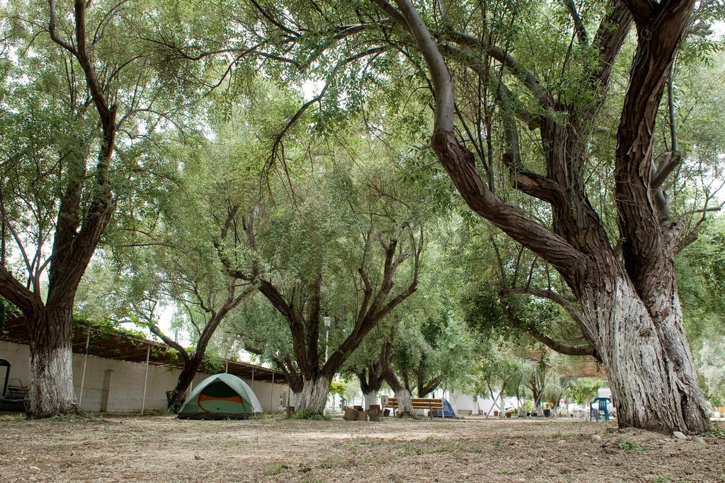 Camping Koula Parikia  Room photo